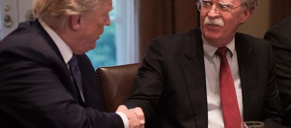 特朗普称博尔顿的书是谎言和杜撰故事的合集 - 俄罗斯卫星通讯社