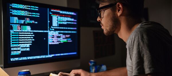 Программист за работой дома Программист за работой дома - 俄羅斯衛星通訊社