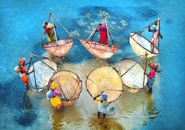 西孟加拉邦省的捕魚女子。作者：Pranab Basak（印度）。 - 俄羅斯衛星通訊社