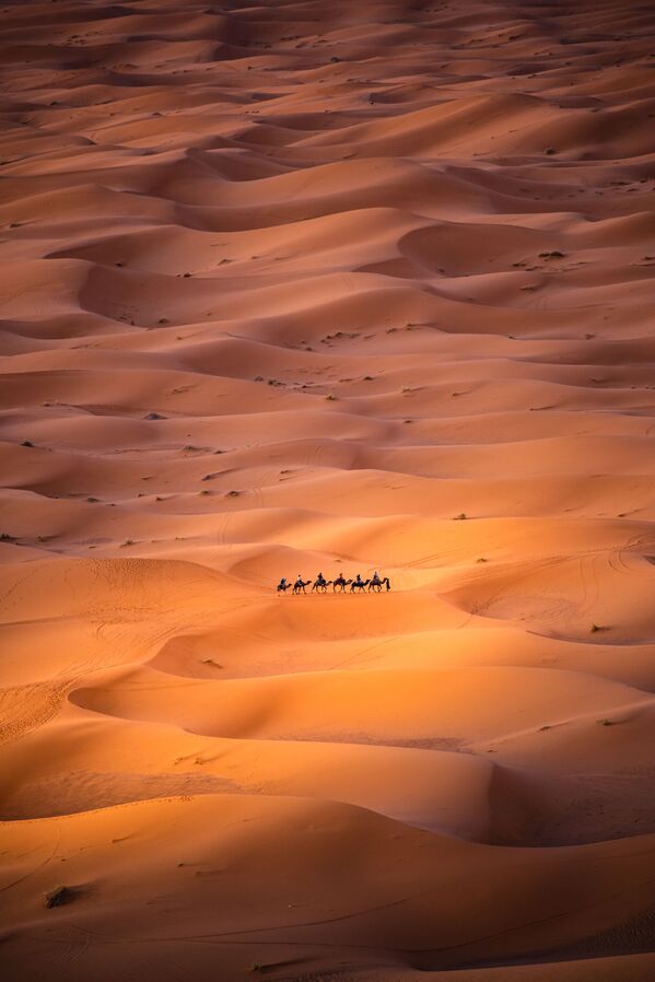 撒哈拉沙漠中的遊牧民族。作者：Carles Alonso（西班牙）。 - 俄羅斯衛星通訊社