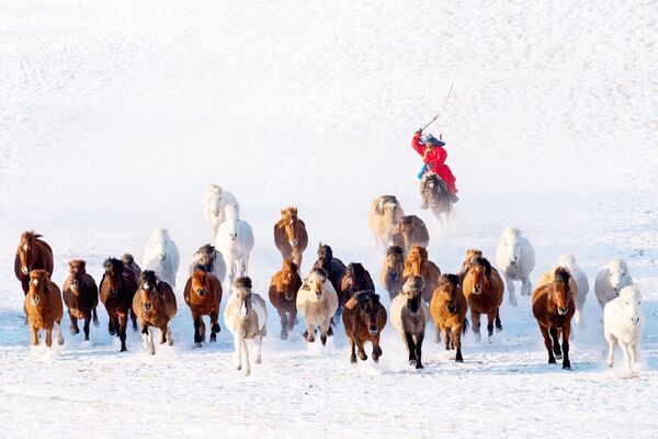 蒙古之冬。作者：Zay Yar Lin（缅甸） - 俄罗斯卫星通讯社