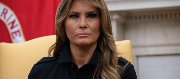 龙飞船发射取消 梅拉尼娅先于特朗普作出回应 龙飞船发射取消 梅拉尼娅先于特朗普作出回应 - 俄罗斯卫星通讯社