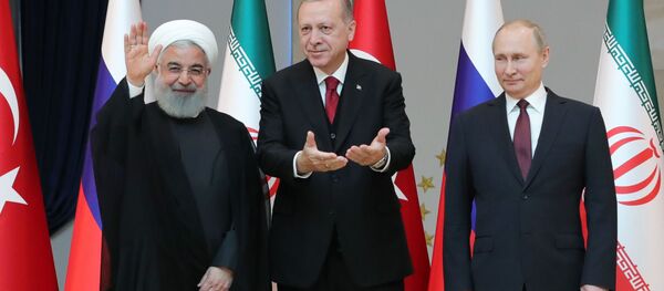 普京：俄土伊三國敘利亞問題安卡拉峰會富有成果 - 俄羅斯衛星通訊社