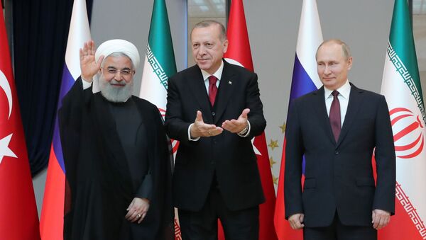 普京：俄土伊三國敘利亞問題安卡拉峰會富有成果 - 俄羅斯衛星通訊社
