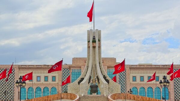 突尼斯政治家稱正評估加入金磚國家可能性 - 俄羅斯衛星通訊社