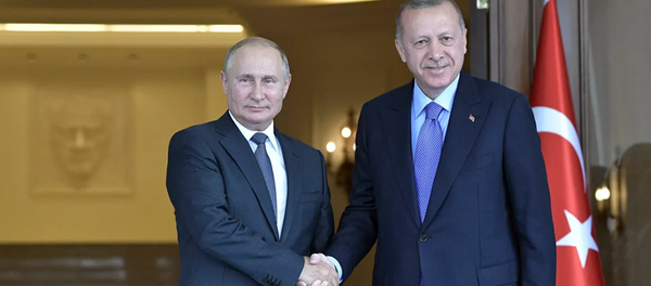 俄土總統積極評價兩國在能源和軍事技術合作領域聯合項目的落實情況 - 俄羅斯衛星通訊社