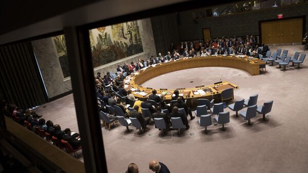 Заседание Совета безопасности ООН в Нью-Йорке - 俄罗斯卫星通讯社