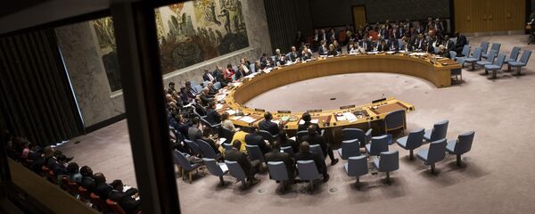 Заседание Совета безопасности ООН в Нью-Йорке - 俄罗斯卫星通讯社