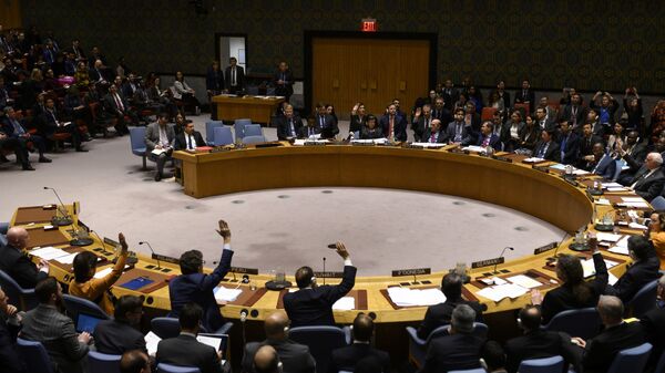 Заседание Совета безопасности ООН в Нью-Йорке - 俄羅斯衛星通訊社
