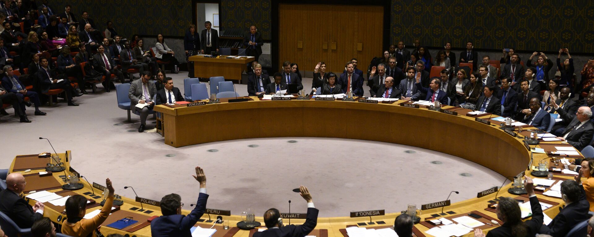 Заседание Совета безопасности ООН в Нью-Йорке - 俄罗斯卫星通讯社, 1920, 04.08.2021