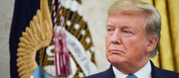 美國總統特朗普 - 俄羅斯衛星通訊社