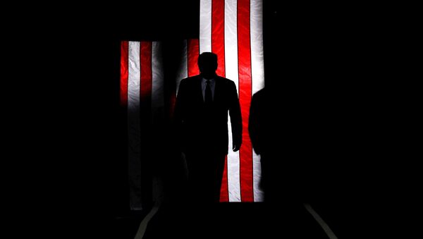 Президент США Дональд Трамп на фоне американского флага  - 俄羅斯衛星通訊社