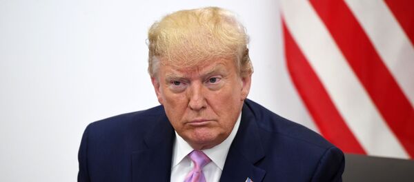 特朗普：美国可以对伊朗15处设施实施打击 但是不急于这样做 - 俄罗斯卫星通讯社