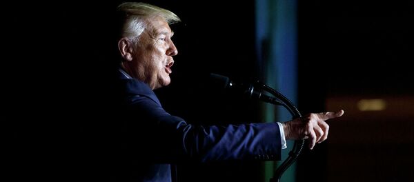 特朗普稱拜登之子從烏克蘭和中國拿錢 - 俄羅斯衛星通訊社