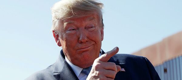 美国总统特朗普 - 俄罗斯卫星通讯社