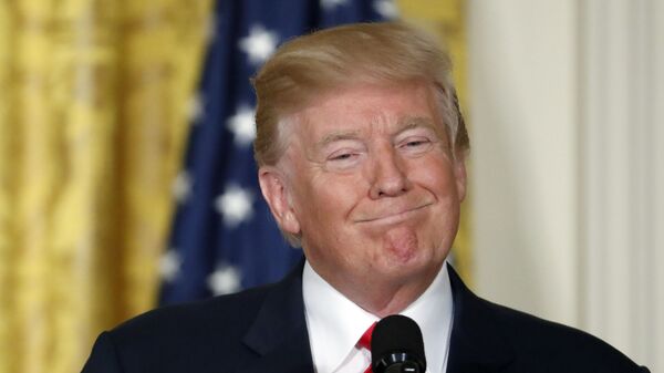 美国总统特朗普 - 俄罗斯卫星通讯社