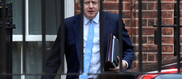 英國首相不贊同法院對議會休會合法性的裁決但表示尊重 - 俄羅斯衛星通訊社