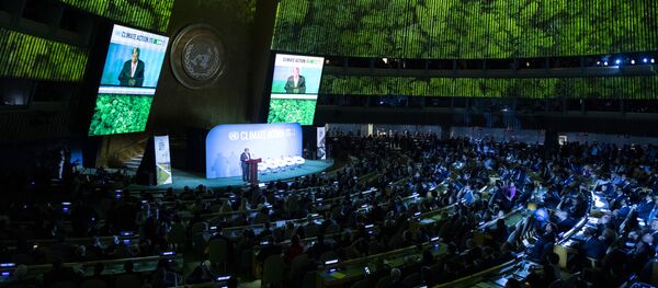 聯合國大會 - 俄羅斯衛星通訊社