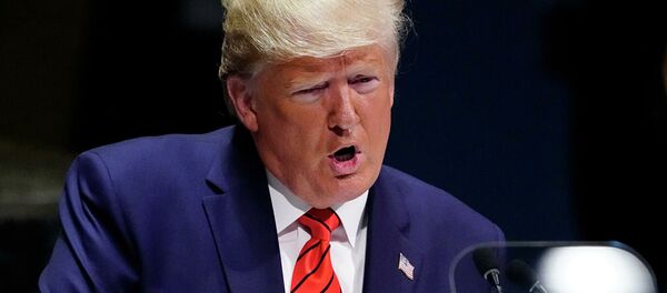 特朗普否認與澤連斯基的電話交談是瘋狂的 特朗普否認與澤連斯基的電話交談是瘋狂的 - 俄羅斯衛星通訊社