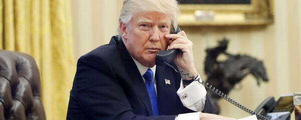 白宫公开特朗普与泽连斯基的通话实录 - 俄罗斯卫星通讯社