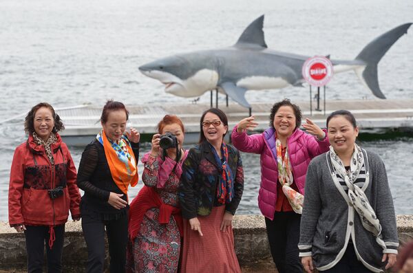 中国游客在悉尼 中国游客在悉尼 - 俄罗斯卫星通讯社
