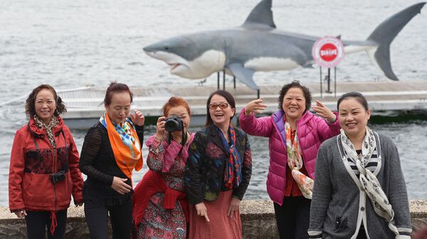 中國遊客在悉尼 - 俄羅斯衛星通訊社
