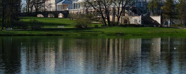 聖彼得堡皇村博物館 - 俄羅斯衛星通訊社