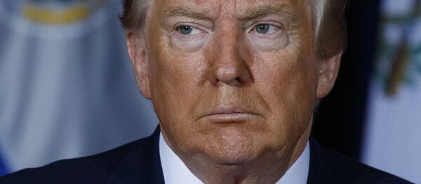 Президент США Дональд Трамп Президент США Дональд Трамп - 俄羅斯衛星通訊社