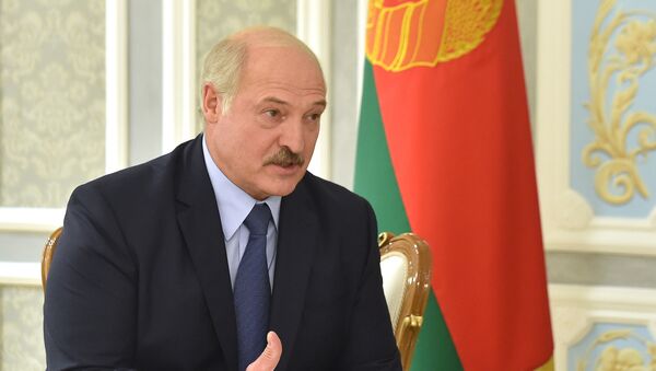 Президент Беларуси Александр Лукашенко на встрече с советником по национальной безопасности США в Минске - 俄羅斯衛星通訊社