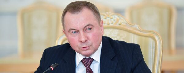 Министр иностранных дел Белоруссии Владимир Макей во время встречи в Москве с министром иностранных дел России Сергеем Лавровым - 俄羅斯衛星通訊社