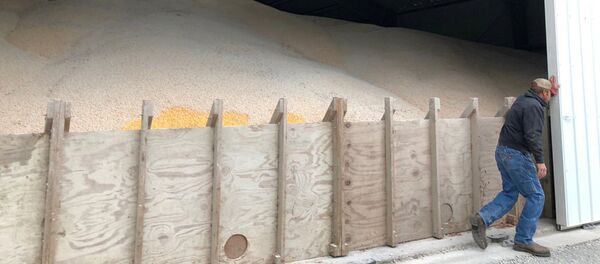 Хранилище с кукурузой и соей  - 俄罗斯卫星通讯社