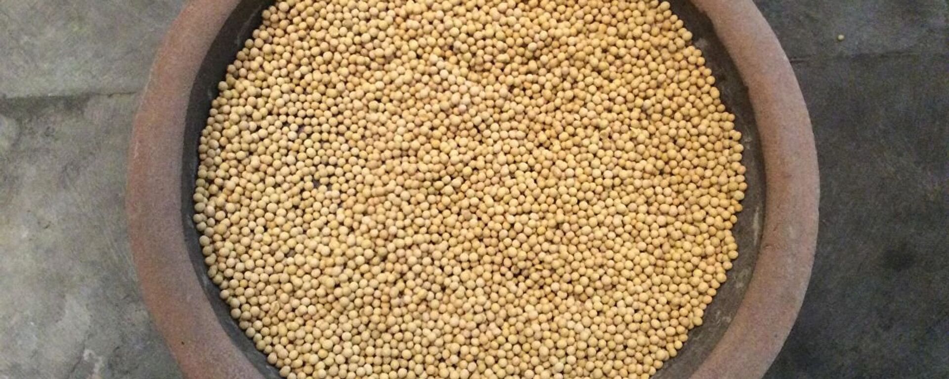 大豆 - 俄罗斯卫星通讯社, 1920, 03.09.2025