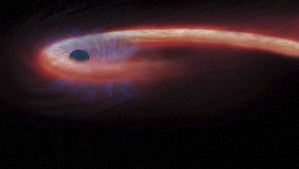 Изображение черной дыры, захватывающей звезду - 俄羅斯衛星通訊社