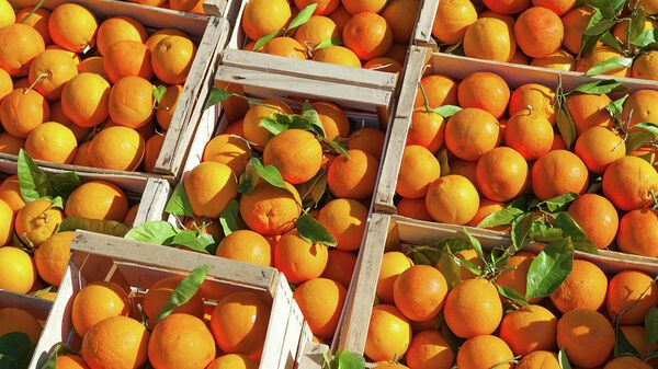 中國海關總署：允許符合要求的中國鮮食柑橘出口美國 - 俄羅斯衛星通訊社