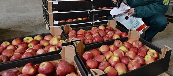 Сотрудник таможенной службы осуществляет осмотр груза - 俄罗斯卫星通讯社