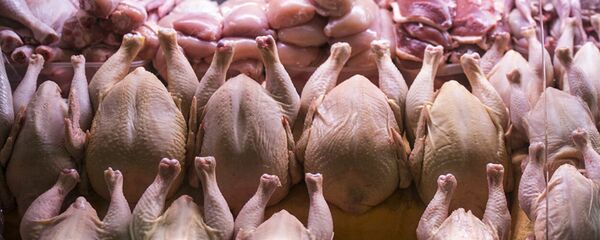 2020年前俄羅斯對華禽肉出口量可超過10萬噸 - 俄羅斯衛星通訊社