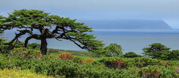 Курильские острова Уруп и Итуруп - 俄罗斯卫星通讯社