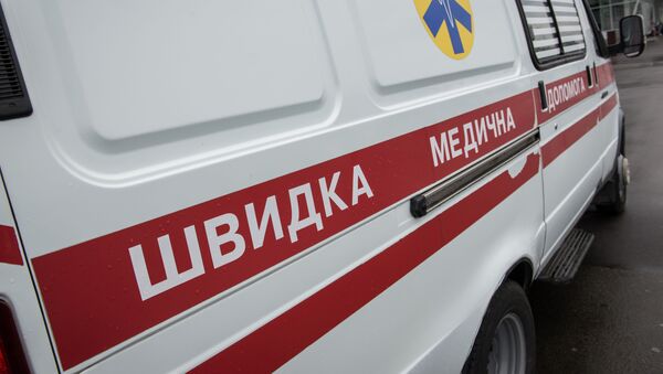 恶劣天气致乌克兰多地断电 2人因树木倒压死亡 - 俄罗斯卫星通讯社
