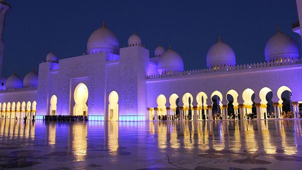 沙特期待开放旅游签证有助于吸引俄罗斯游客 - 俄罗斯卫星通讯社