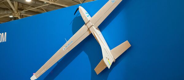 В ЛНР заявили, что сбили пять БПЛА украинских силовиков в Донбассе с начала года - 俄罗斯卫星通讯社