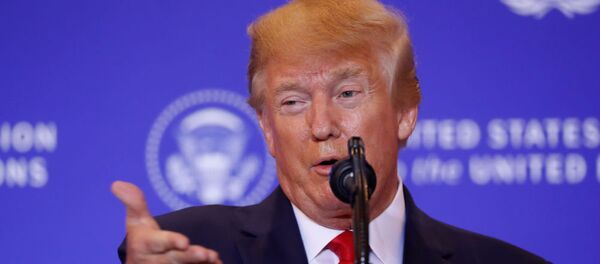 Президент США Дональд Трамп Президент США Дональд Трамп - 俄罗斯卫星通讯社
