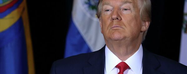 Президент США Дональд Трамп Президент США Дональд Трамп - 俄罗斯卫星通讯社