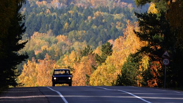 俄外贝加尔边疆区开始测试为林业投资者创建的首个数字服务系统 - 俄罗斯卫星通讯社