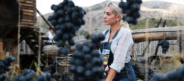 Девушка на Празднике Винограда в интерактивном парке Викинг в Крыму - 俄羅斯衛星通訊社