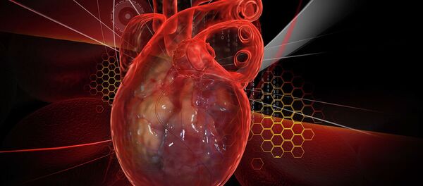 Человеческое сердце с ЭКГ - 俄罗斯卫星通讯社