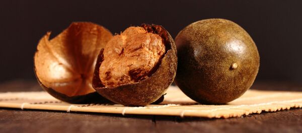 罗汉果 罗汉果 - 俄罗斯卫星通讯社