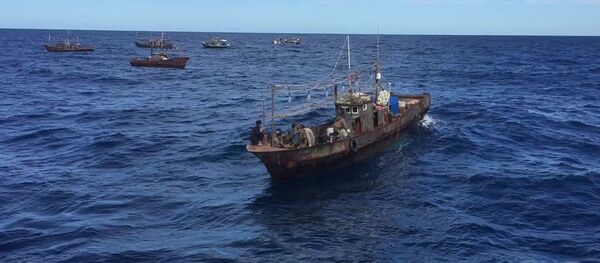 Суда северокорейских браконьеров в исключительной экономической зоне Российской Федерации в Японском море - 俄罗斯卫星通讯社