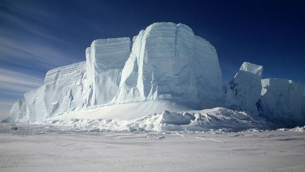 南极一座重达3150亿吨的冰山掉下 - 俄罗斯卫星通讯社