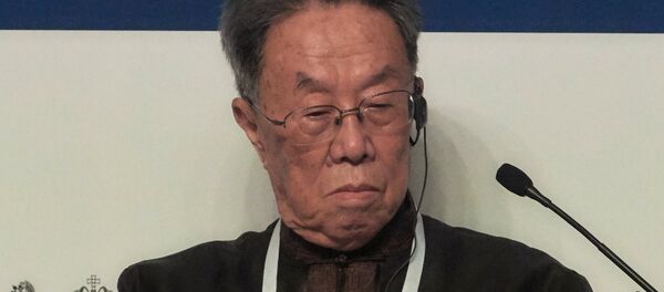 王蒙（资料图片） - 俄罗斯卫星通讯社