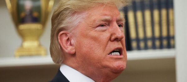 特朗普 特朗普 - 俄罗斯卫星通讯社